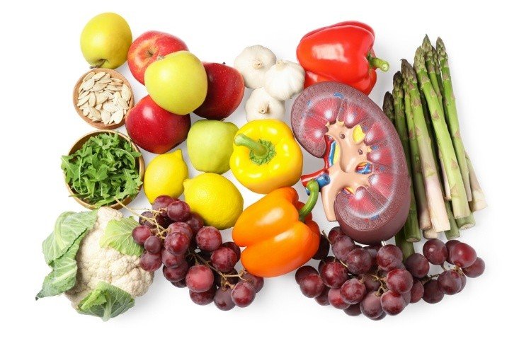 Dietitian for Kidney Disease in Danville